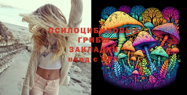 хмурый Зеленодольск