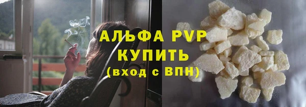 шишки Иннополис