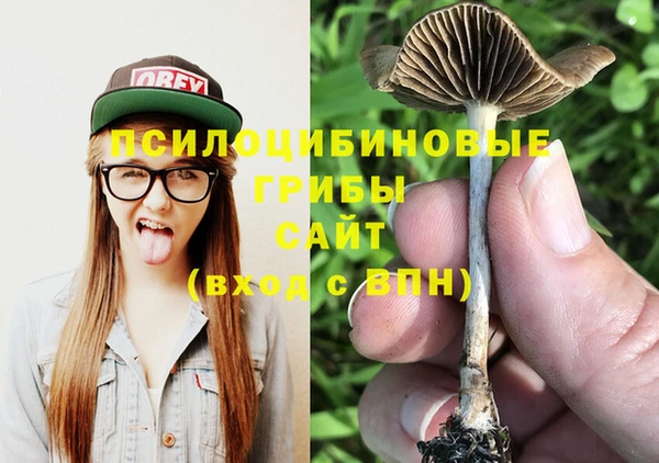 прущие крисы Зеленокумск