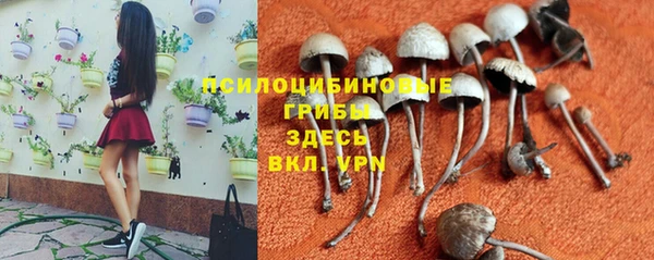 гидра Инсар
