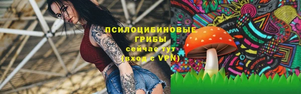 2c-b Инта