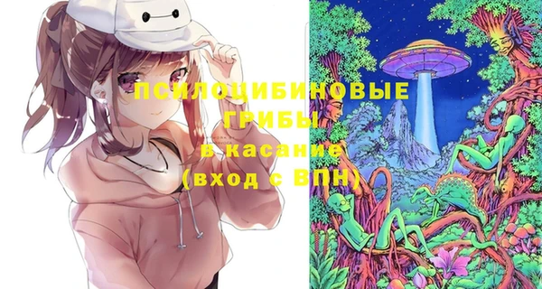 шишки Иннополис