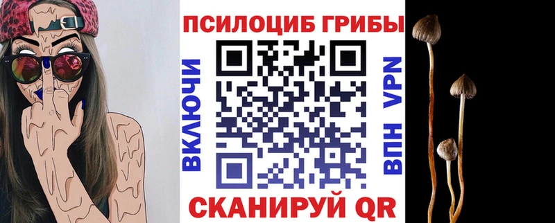 Псилоцибиновые грибы GOLDEN TEACHER  цена   Константиновск 